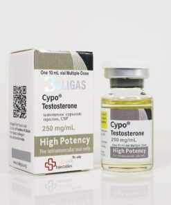 Cypo Testosterone 250mg/ml